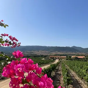 Alloggio per agriturismo Campesi Casale Tra Le Vigne, Aglientu